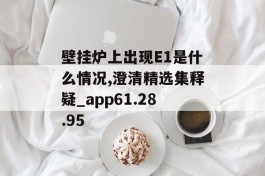 壁挂炉上出现E1是什么情况,澄清精选集释疑_app61.28.95