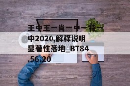 王中王一肖一中一特一中2020,解释说明显著性落地_BT84.56.20