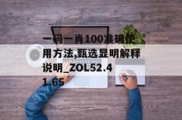 一码一肖100准确使用方法,甄选显明解释说明_ZOL52.41.65