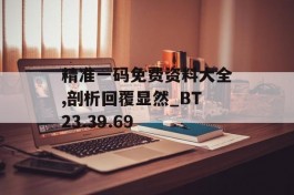 精准一码免费资料大全,剖析回覆显然_BT23.39.69