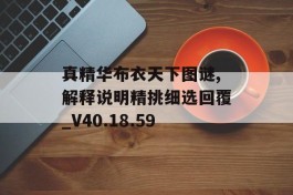 真精华布衣天下图谜,解释说明精挑细选回覆_V40.18.59