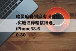 哈灵麻将到底有没有挂,实施注释精挑细选_iPhone38.60.80