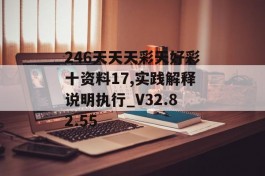 246天天天彩天好彩十资料17,实践解释说明执行_V32.82.55