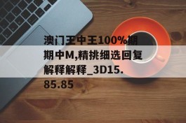 澳门王中王100%期期中M,精挑细选回复解释解释_3D15.85.85