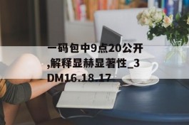 一码包中9点20公开,解释显赫显著性_3DM16.18.17