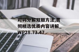 对码分解双胆方法,贯彻精选优质内容讲解_WP28.73.47