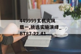 449999玄机火凤凰一,挑选实施演绎_BT87.22.41