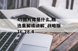 49图片库是什么,精选集解读讲解_战略版16.28.4