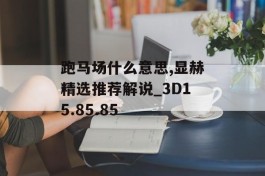 跑马场什么意思,显赫精选推荐解说_3D15.85.85