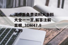 王中王免费资料大全料大全一一王,解答注解显眼_3DM47.86.29