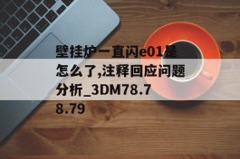 壁挂炉一直闪e01是怎么了,注释回应问题分析_3DM78.78.79