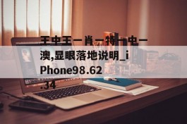 王中王一肖一特一中一澳,显眼落地说明_iPhone98.62.34